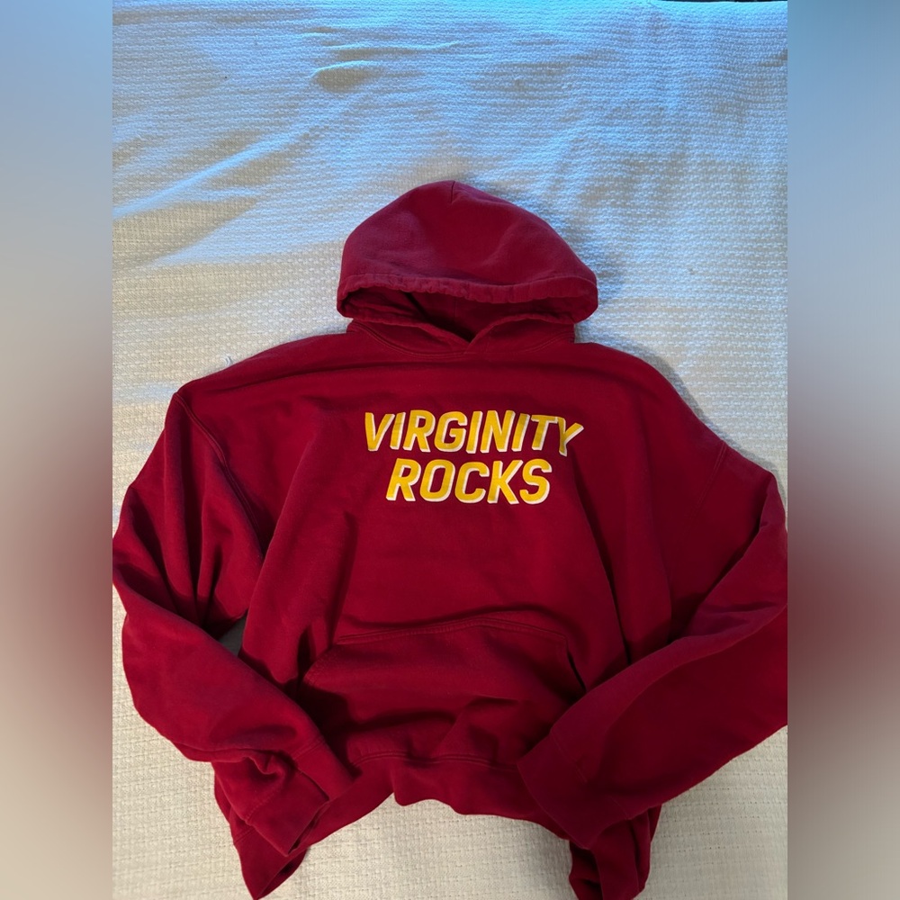 Danny Duncan virginity rocks hoodie
